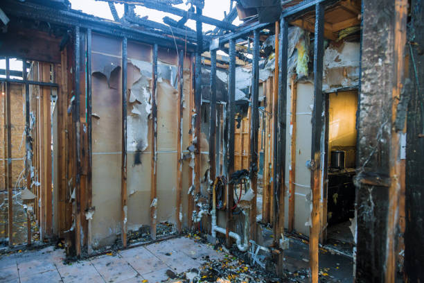 Professional Fire Damage Removal technician working in Annapolis Neck, MD